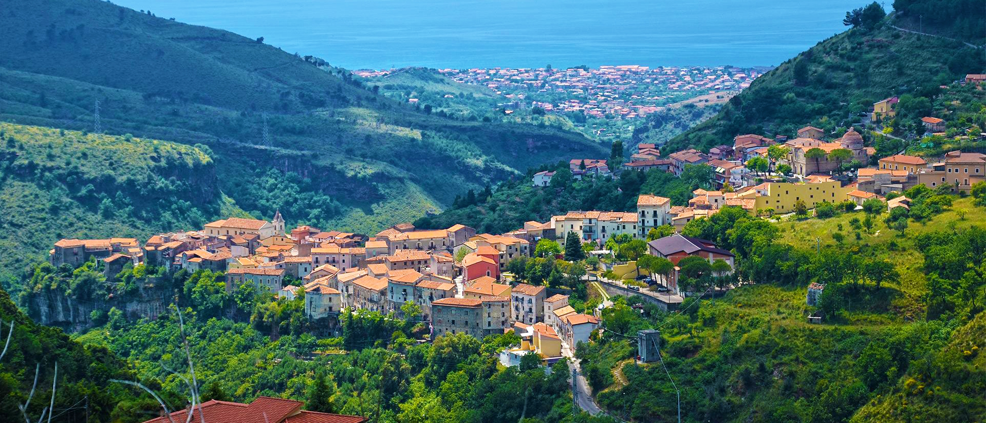tortora