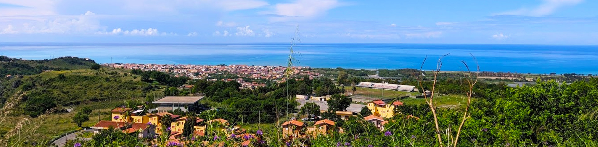 tortora_pano